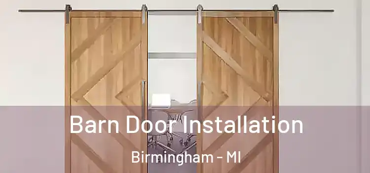  Barn Door Installation Birmingham - MI