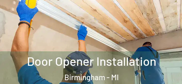  Door Opener Installation Birmingham - MI