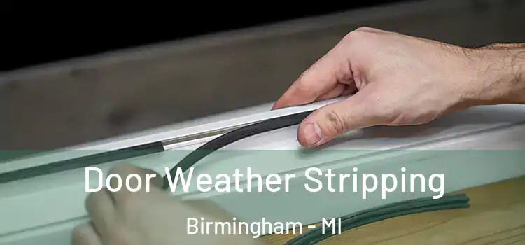  Door Weather Stripping Birmingham - MI