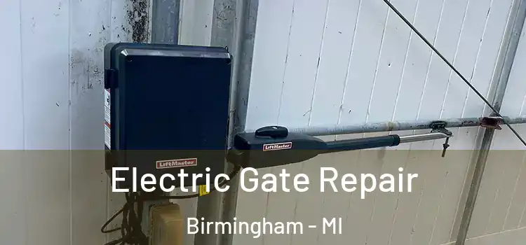  Electric Gate Repair Birmingham - MI