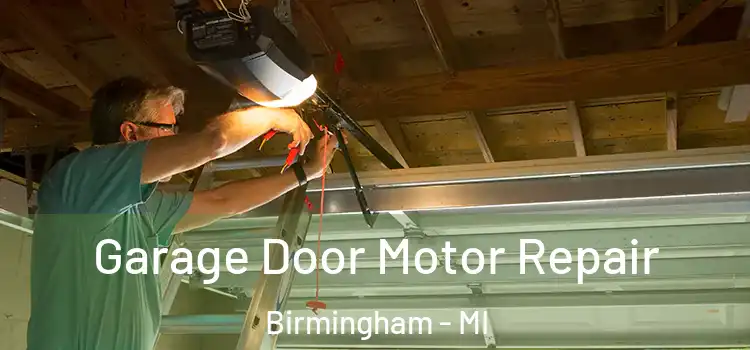  Garage Door Motor Repair Birmingham - MI