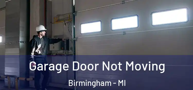  Garage Door Not Moving Birmingham - MI
