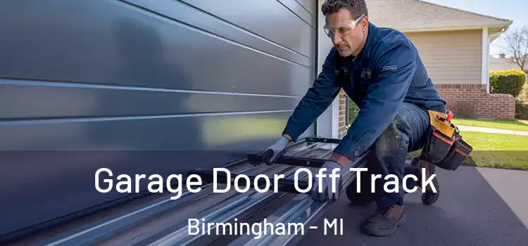  Garage Door Off Track Birmingham - MI
