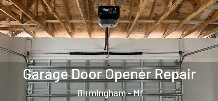  Garage Door Opener Repair Birmingham - MI