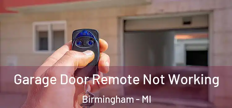  Garage Door Remote Not Working Birmingham - MI