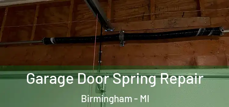  Garage Door Spring Repair Birmingham - MI