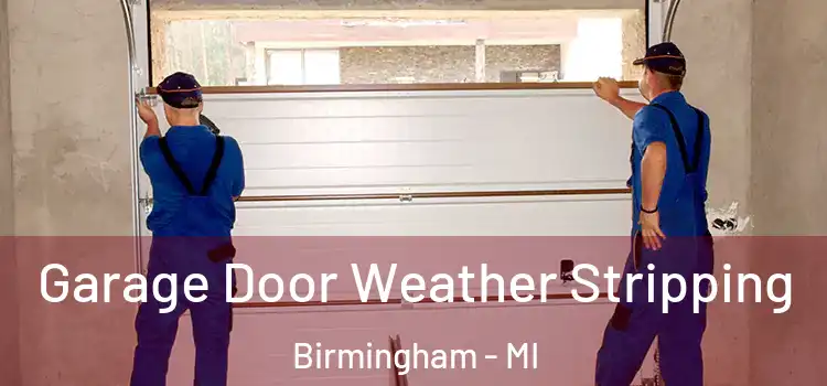  Garage Door Weather Stripping Birmingham - MI