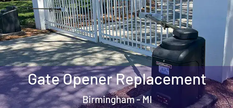  Gate Opener Replacement Birmingham - MI
