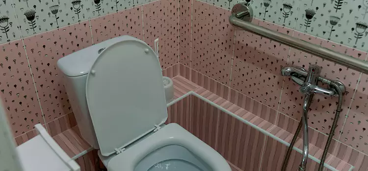 Meeting Diverse Needs With Accessible Restroom Solutions in Birmingham, MI
