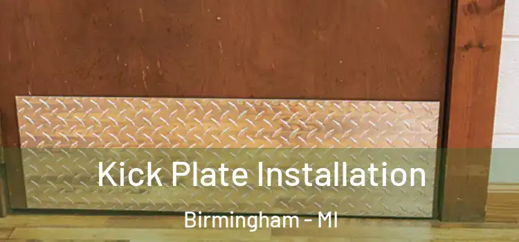  Kick Plate Installation Birmingham - MI