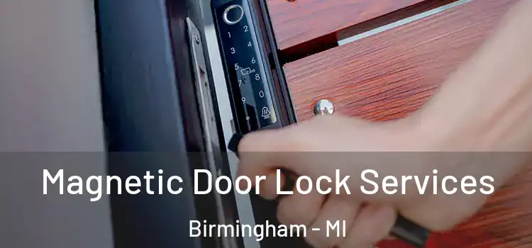  Magnetic Door Lock Services Birmingham - MI