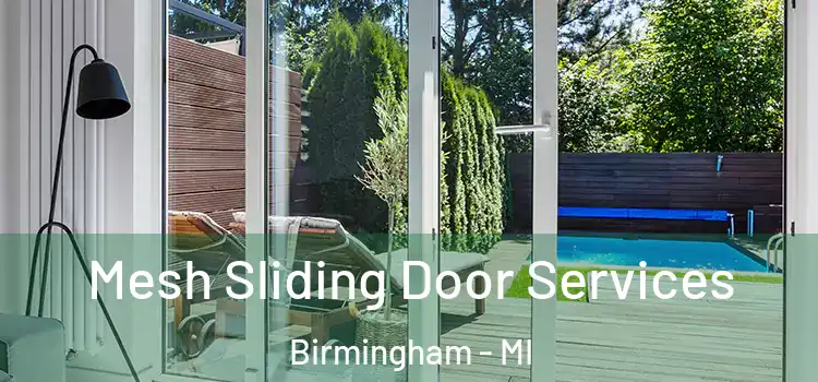  Mesh Sliding Door Services Birmingham - MI