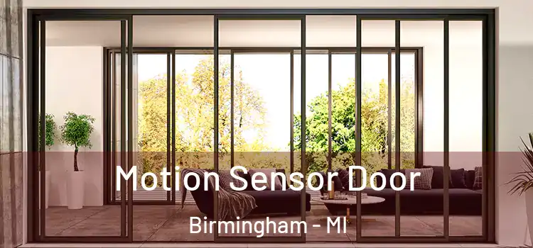  Motion Sensor Door Birmingham - MI