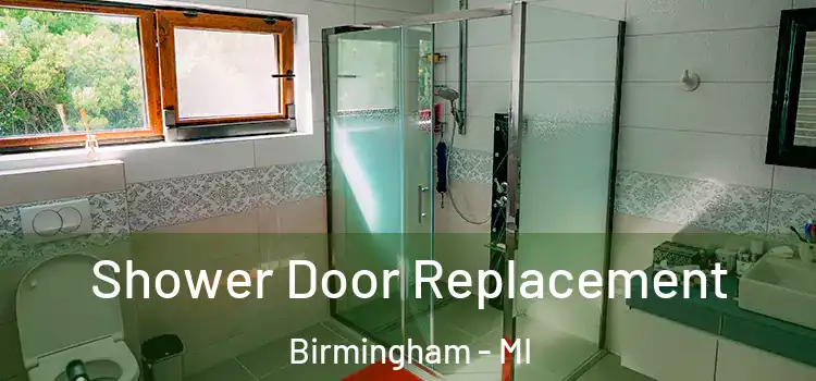  Shower Door Replacement Birmingham - MI