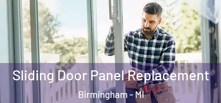  Sliding Door Panel Replacement Birmingham - MI