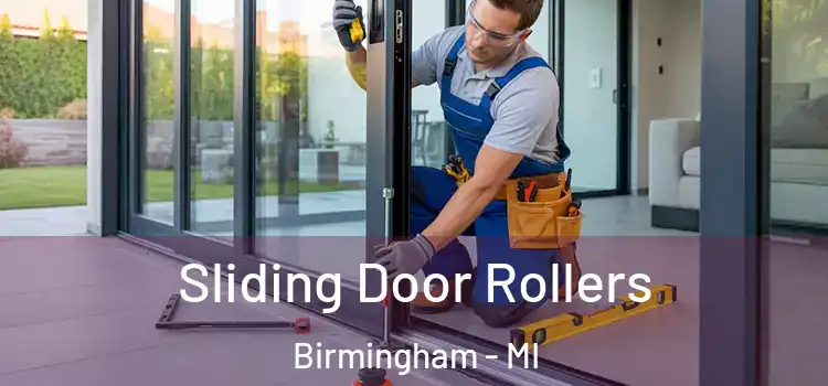  Sliding Door Rollers Birmingham - MI