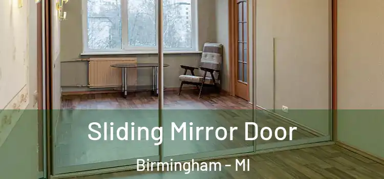  Sliding Mirror Door Birmingham - MI